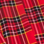 Lumberjackie women red blazer sleeves