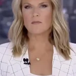 The Story 2026 Martha Maccallum Windowpane Blazer